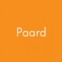 Paard